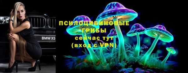 МДПВ Алексин