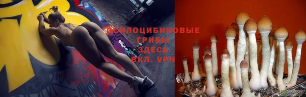 кокс Алексеевка