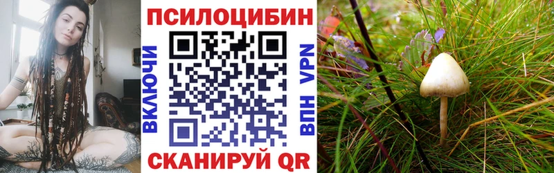 Псилоцибиновые грибы Cubensis дарнет шоп Ханты-Мансийск