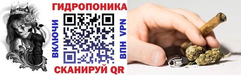 Шишки марихуана конопля  где найти наркотики  Ханты-Мансийск 